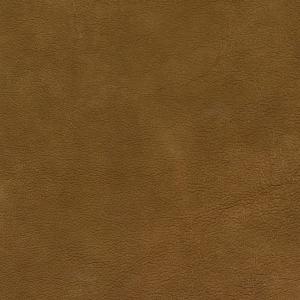 Barbour caramel material