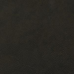Barbour testa di moro material