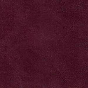 Barbour Violet