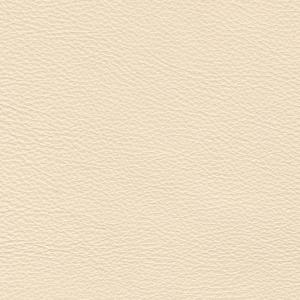 shimmer beige material