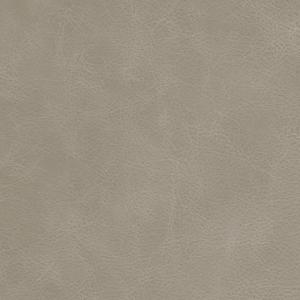 rodeo beige material