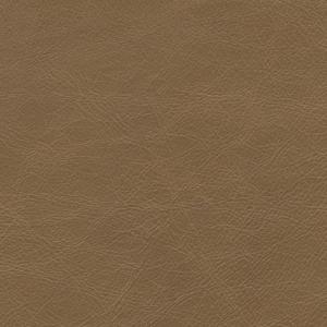 rodeo sand 
