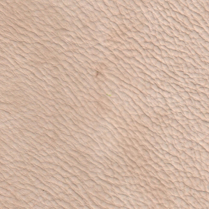 Dolomiti Beige