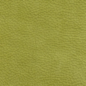 Dolomiti Lime Green