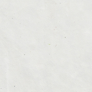 Alpi White