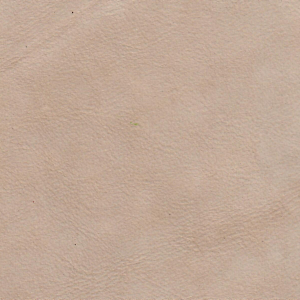 Alpi Ivory