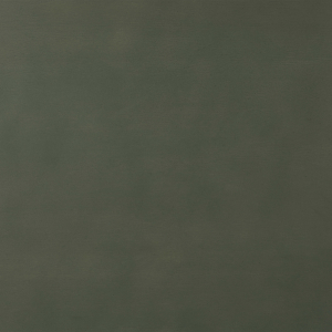 acacia green