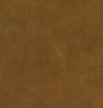 Barbour caramel material