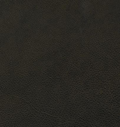 Barbour testa di moro material