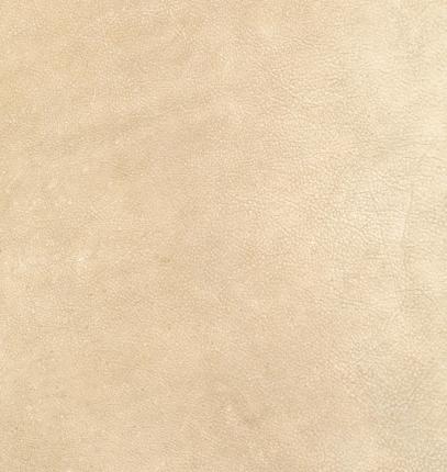 barbour beige material