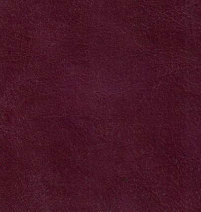 Barbour Violet