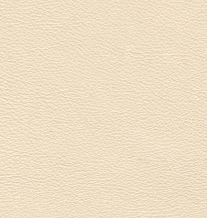 shimmer beige material