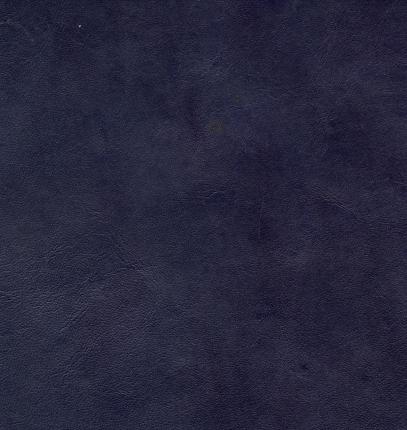 siena navy material