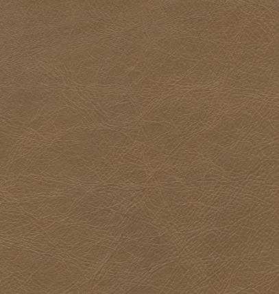 rodeo sand 