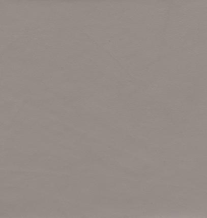 paris beige 