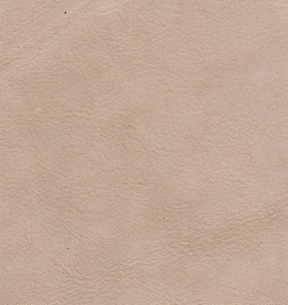 Alpi Ivory