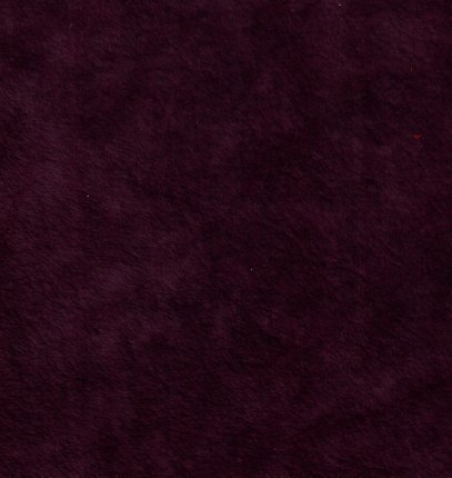 Alpi Violet