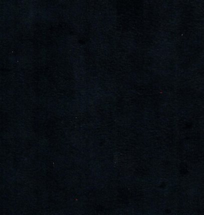 Alpi Charcoal
