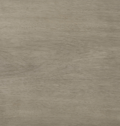 acacia grey