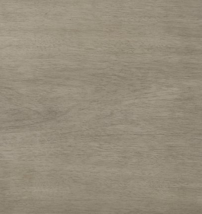 Acacia Grey 