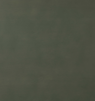 WD09 Acacia Green 